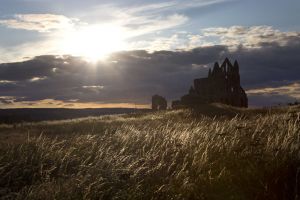 whitby abbey july 2015 sm.jpg
